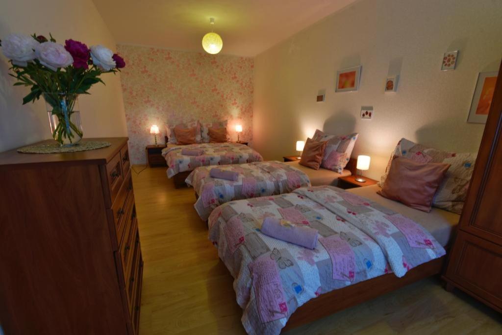 Apartmany Branickov Dış mekan fotoğraf
